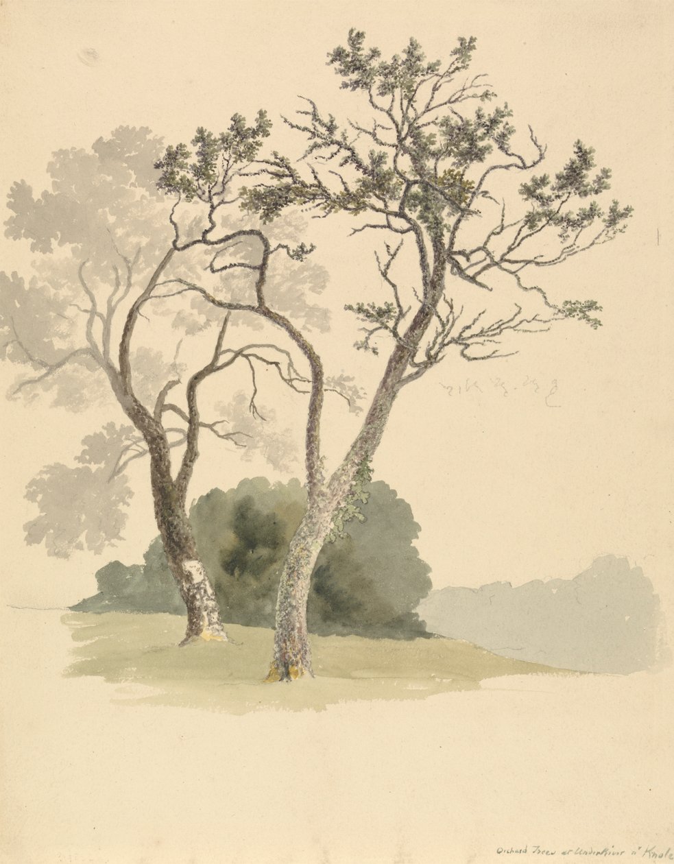 Sadové stromy v pod řekou poblíž Knole od Robert Hills