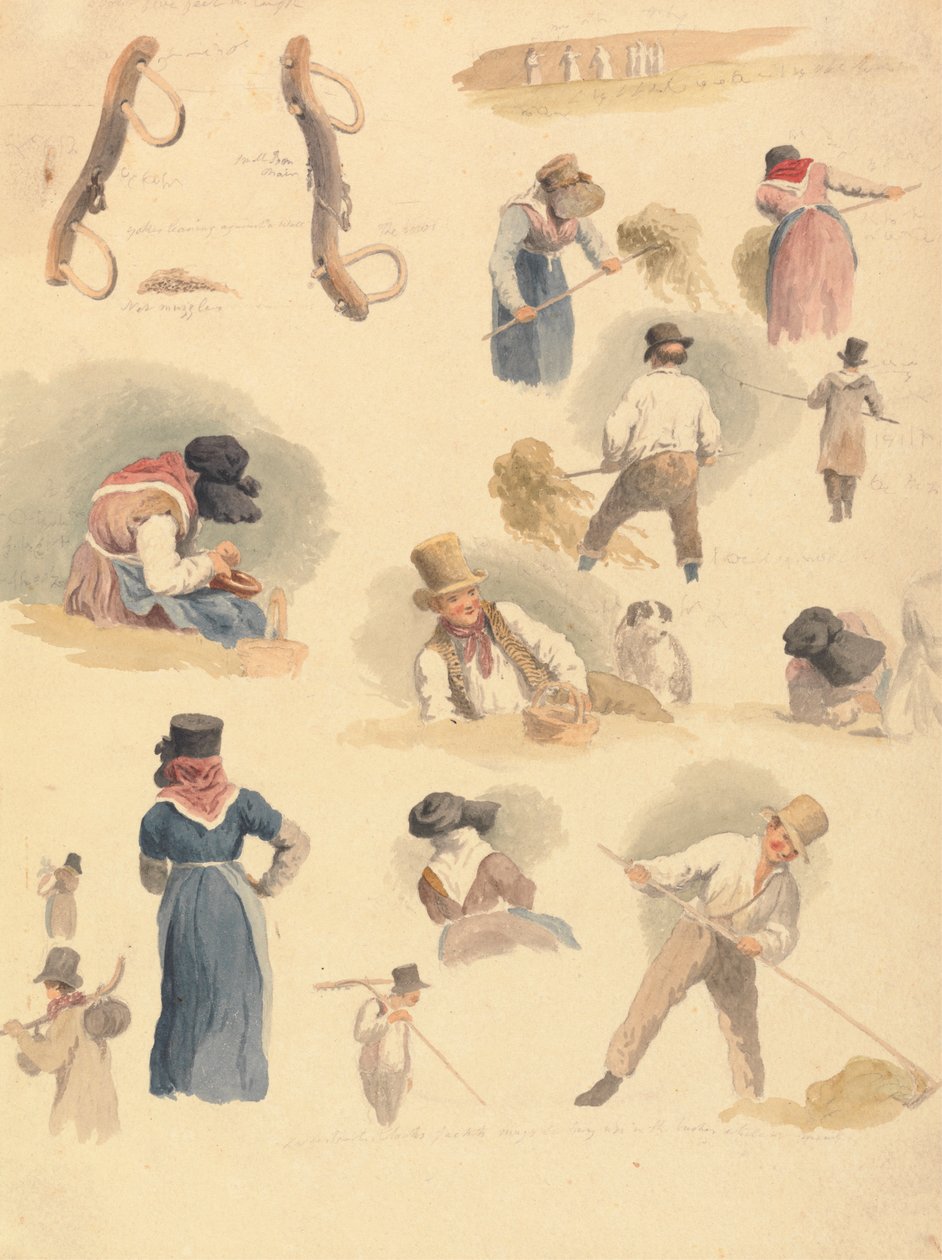 Studie Haymakers od Robert Hills