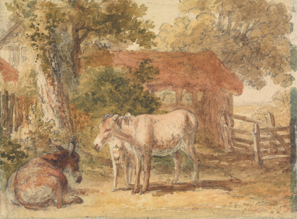 Tři osli od Robert Hills