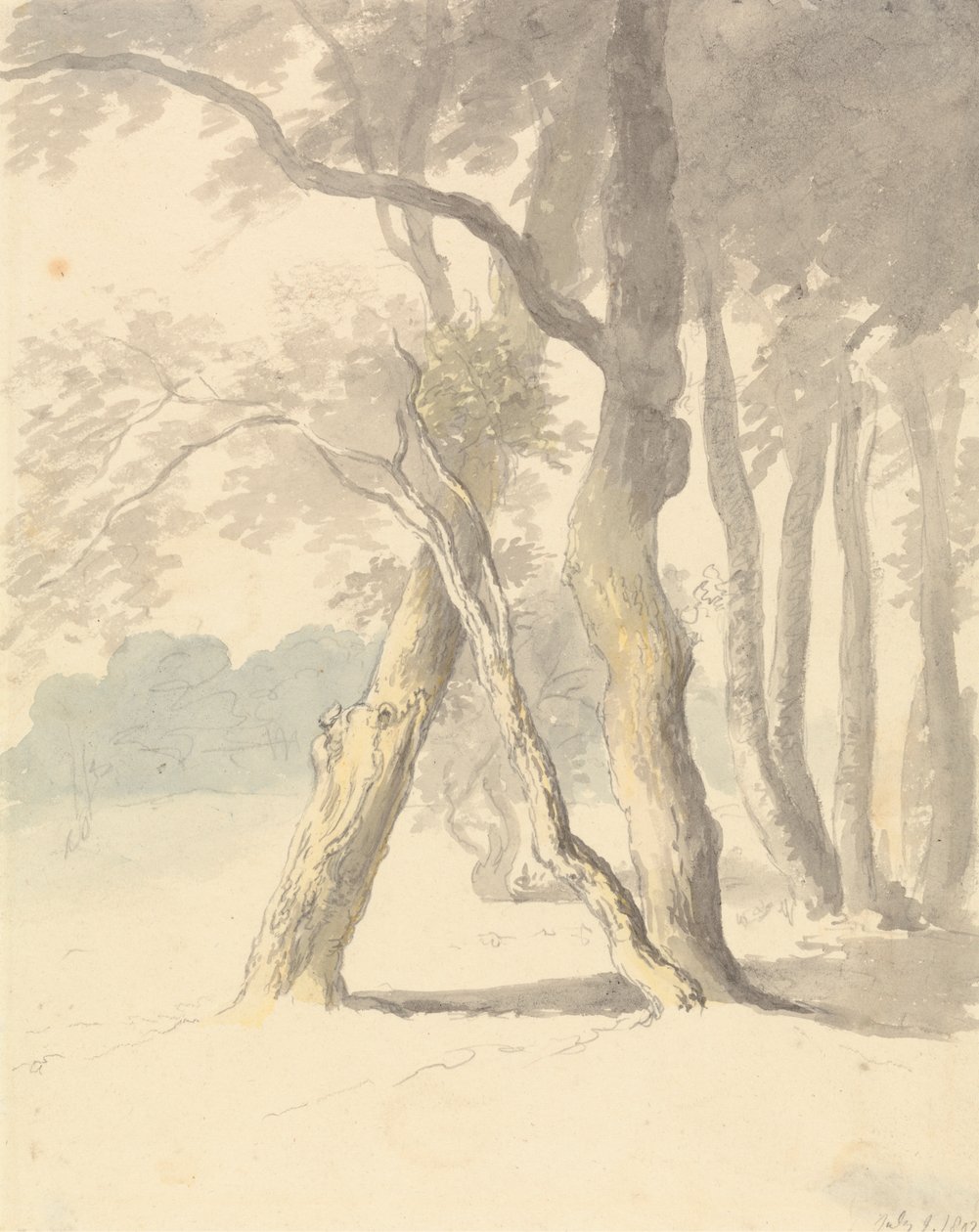 Studie lesů od Robert Hills