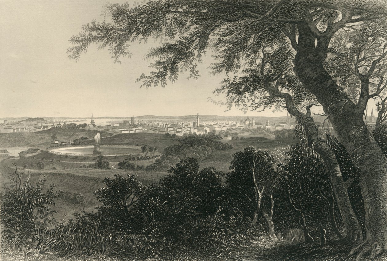 „City of Baltimore, from Druid Hill Park“, 1874. od Robert Hinshelwood