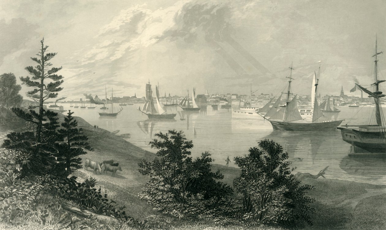 „Město Detroit, z kanadského pobřeží“, 1872. od Robert Hinshelwood
