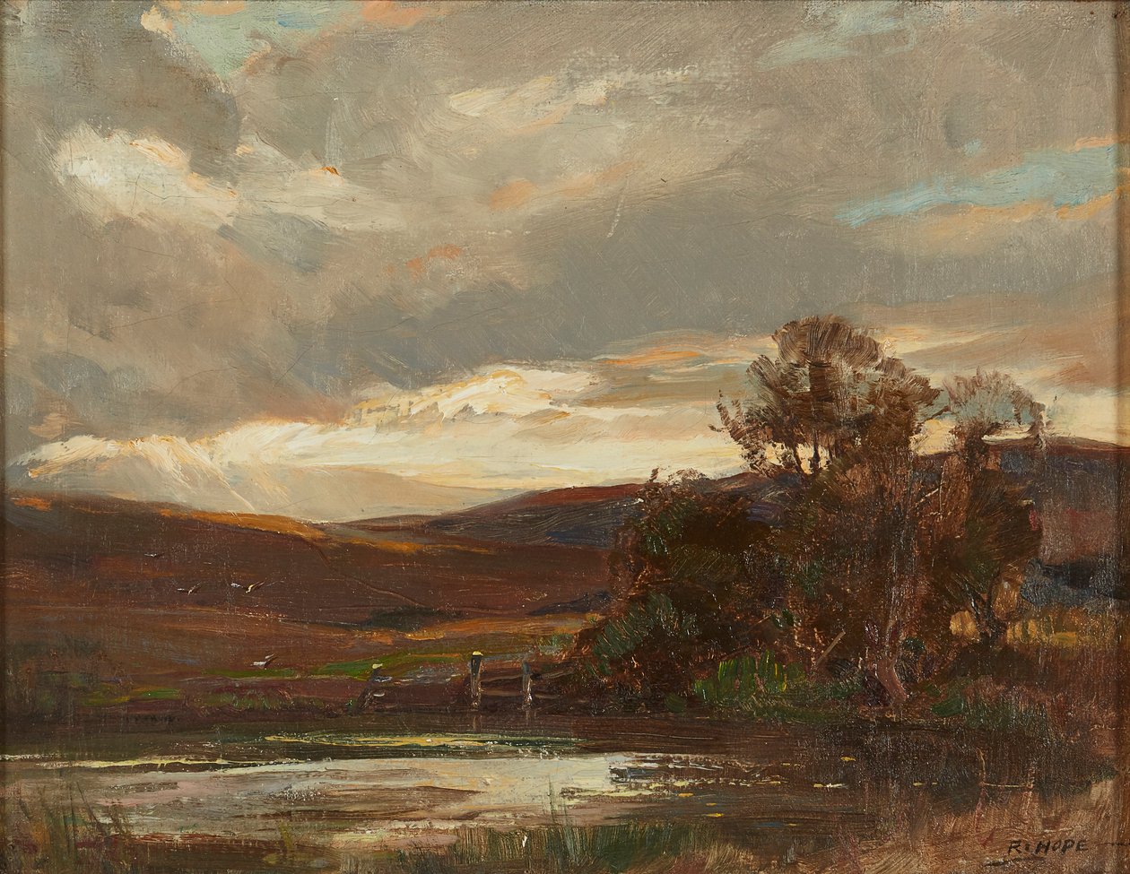 Večer na Swire Road, Ettrick Bridge (olej na plátně) od Robert Hope