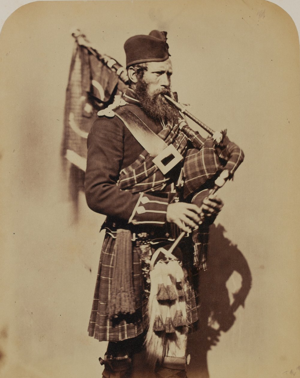 Pipe-Major MacDonald, 72. (vojvoda z Albany