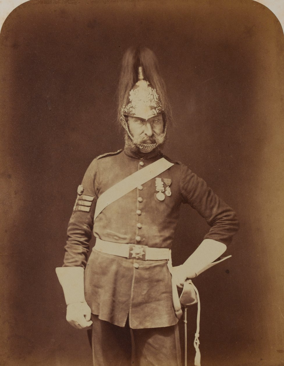 Seržant-major Stewart, 5. dragounská garda (princezna Charlotte z Walesu) od Robert Howlett