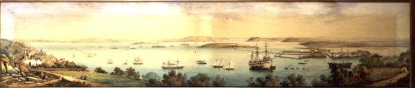 Panoramatický výhled na Cove of Cork od Robert L. Stopford