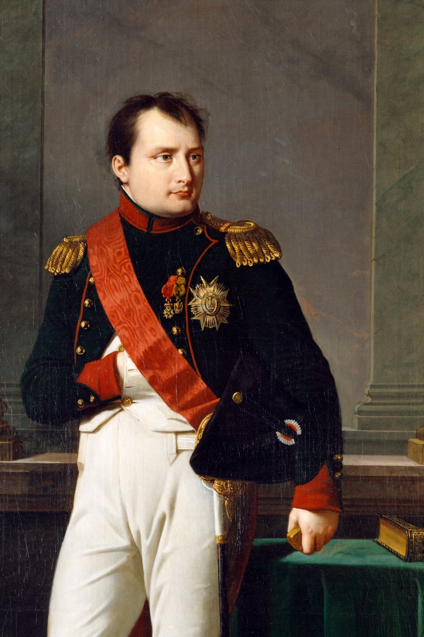 Detail portrétu Napoleona Bonaparta, 1812 od Robert Lefevre
