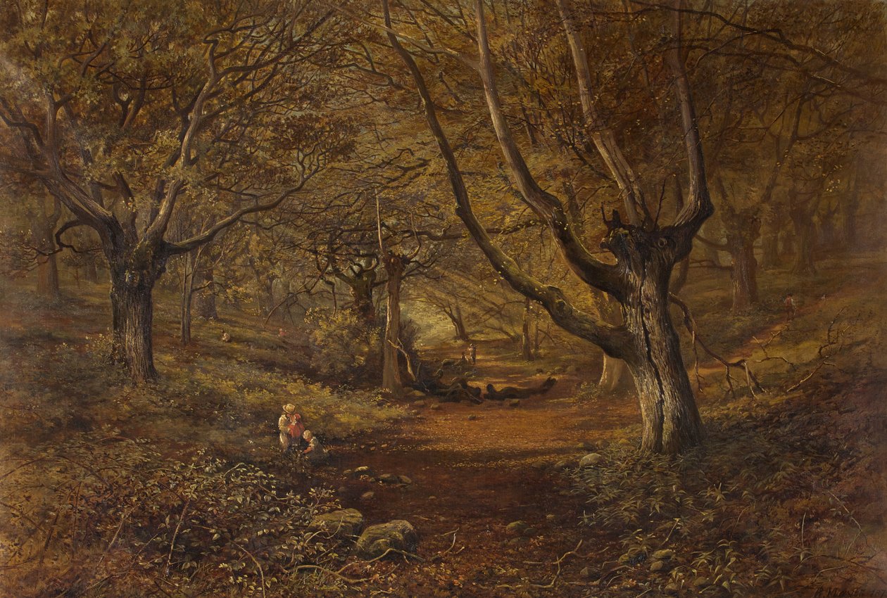 Nightingale Valley, Leigh Woods od Robert Mayes