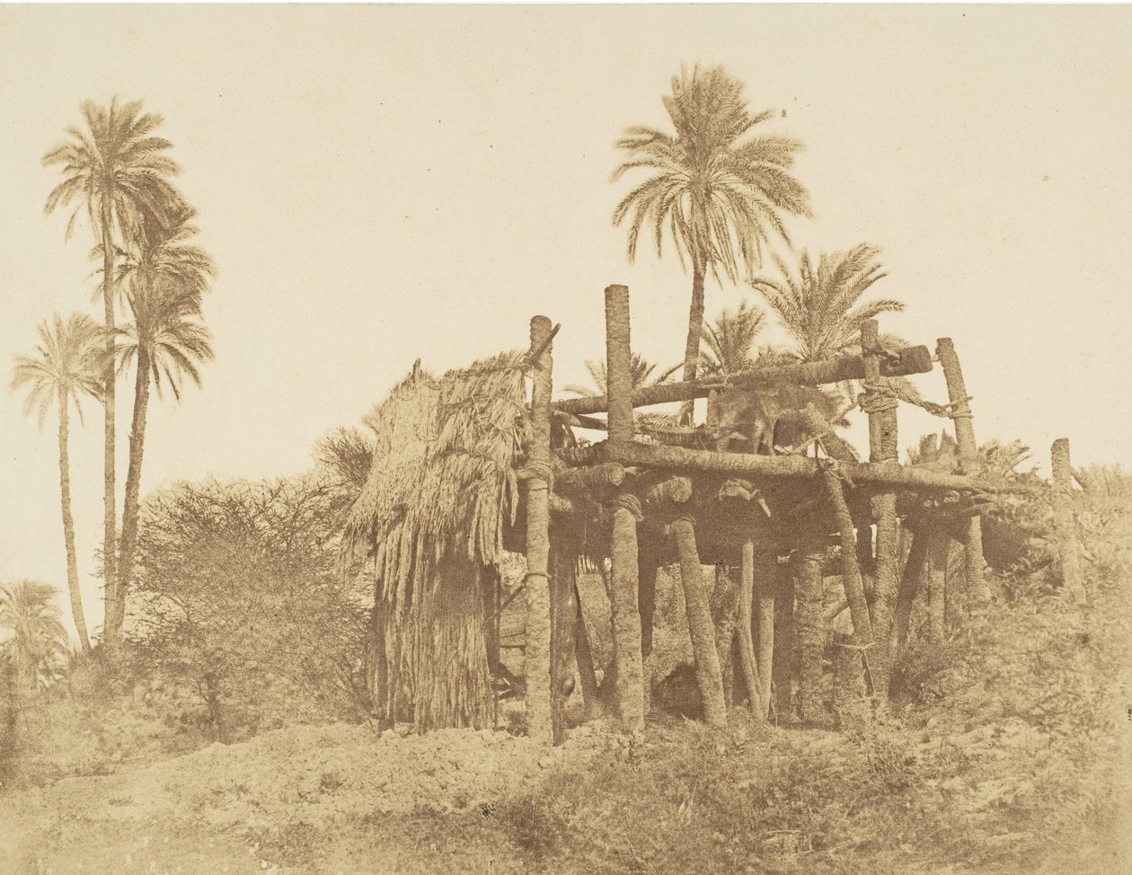 Nubian Sakkieh, nebo vodní kolo, ca. 1856. od Robert Murray.