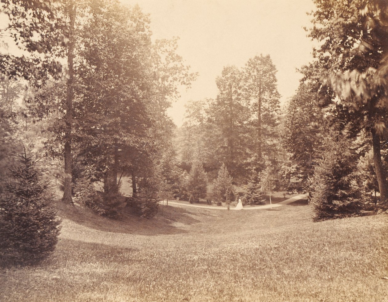Clarence Howard Clark Estate, z portfolia "Pohledy na Chestnutwold" od Robert Newell