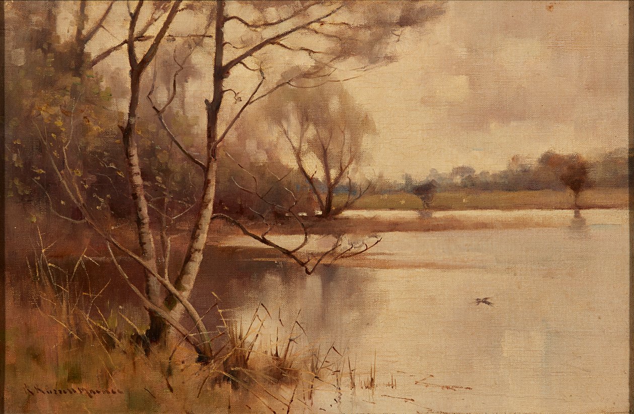 Stříbrná bříza na uzele (olej na plátně) od Robert Russell MacNee