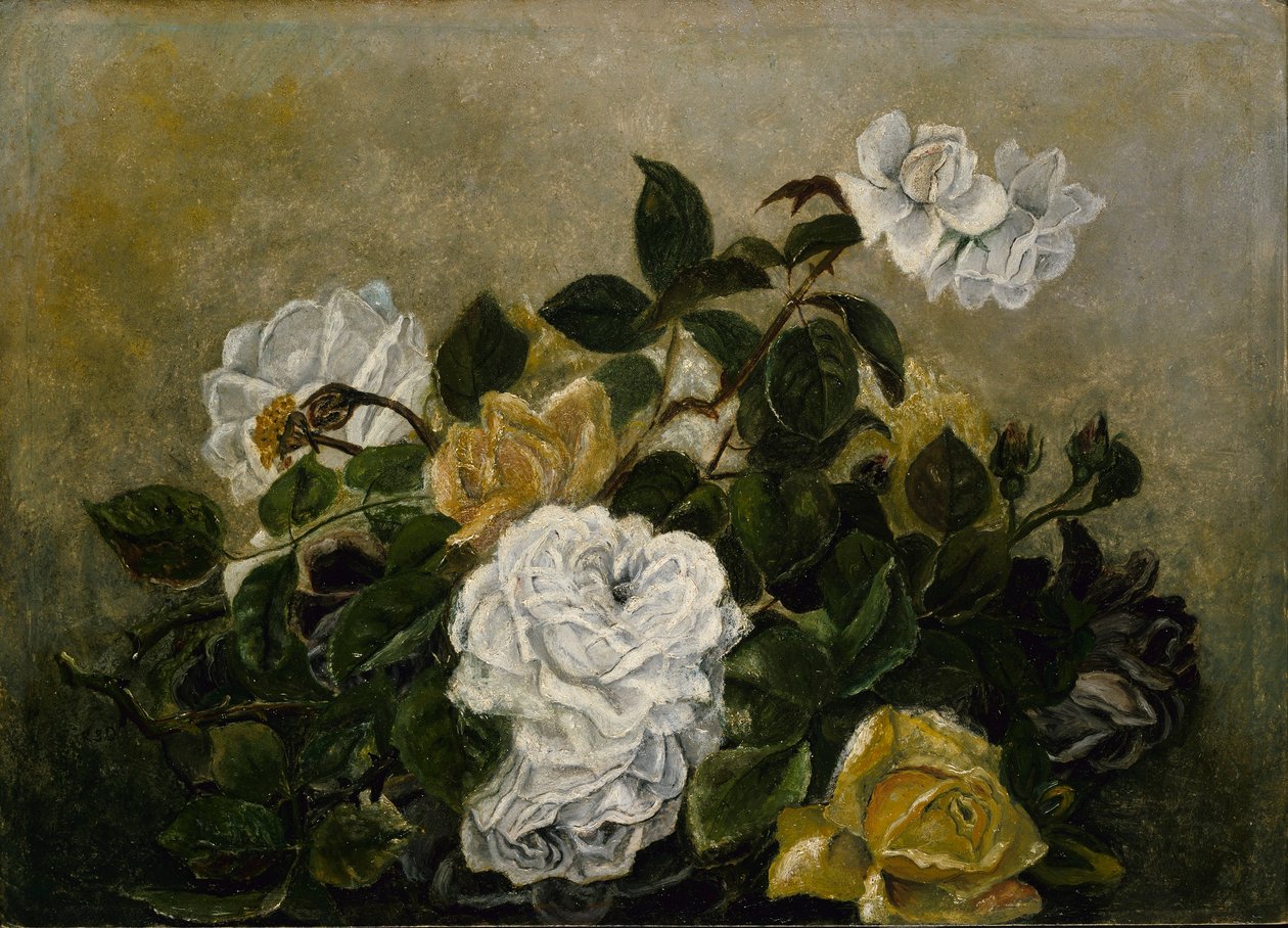 Růže - efektní zátiší, zátiší s růžemi od Robert S. Duncanson
