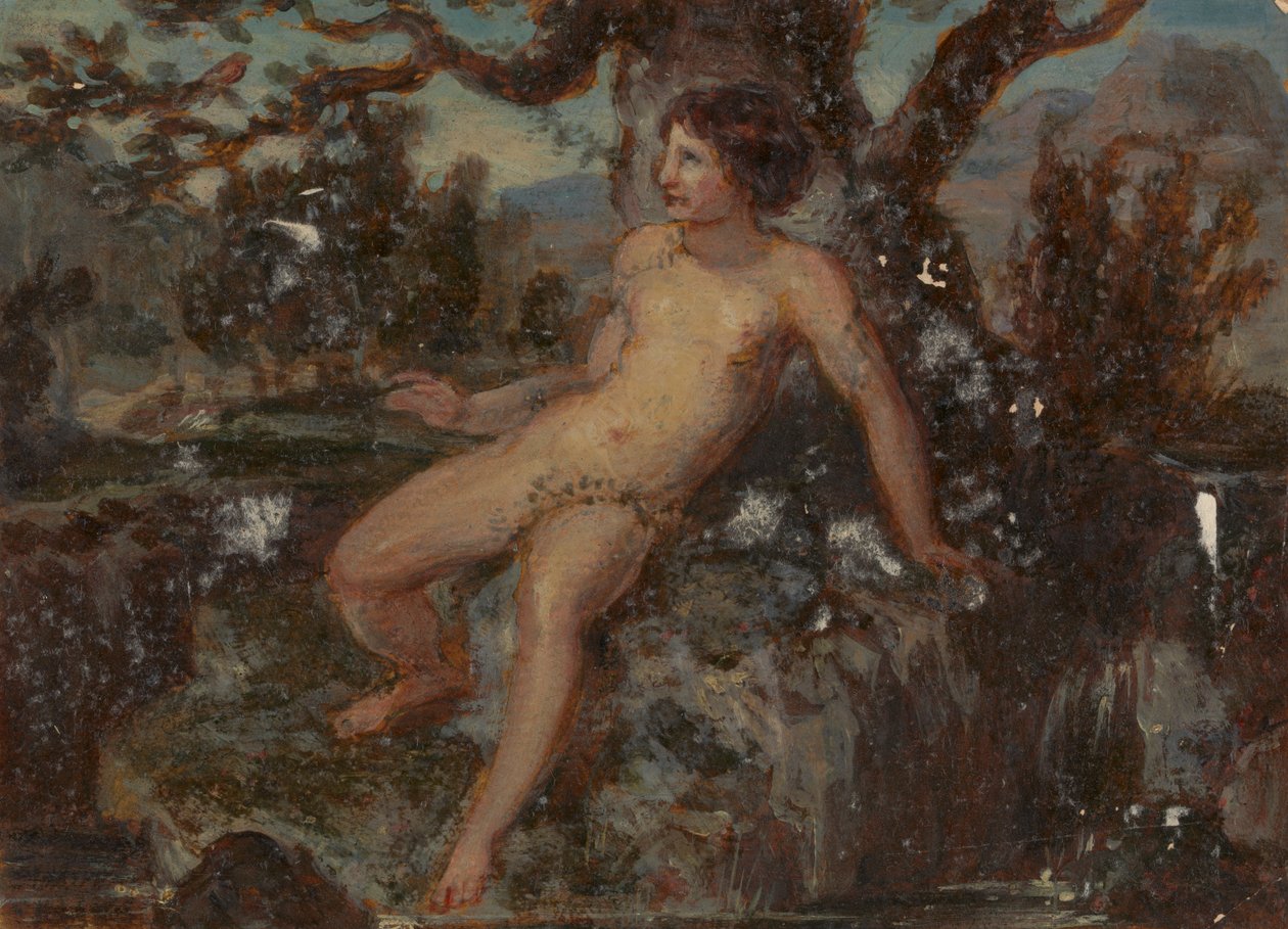 Figurální studie nahé ženy v zalesněné krajině od Robert Smirke