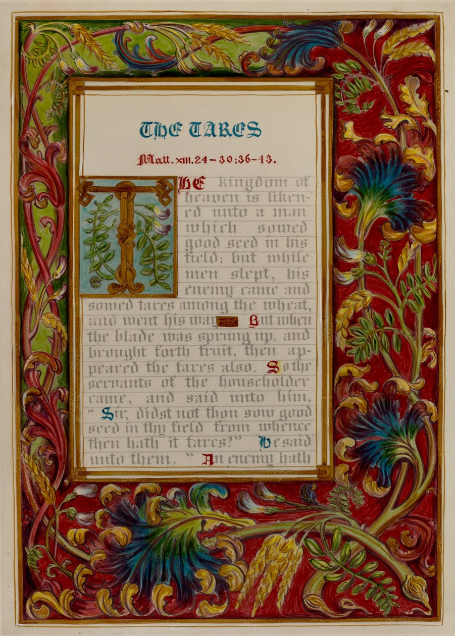 Osvětlené podobenství: The Tares od Robert Stewart and James Gross