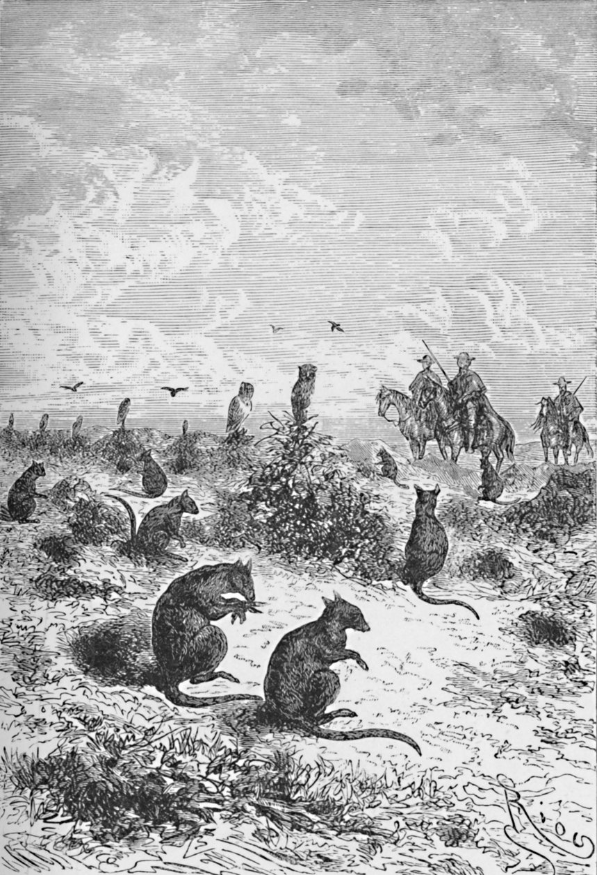 Bizcachas, c1885, 1890 od Robert Taylor Pritchett