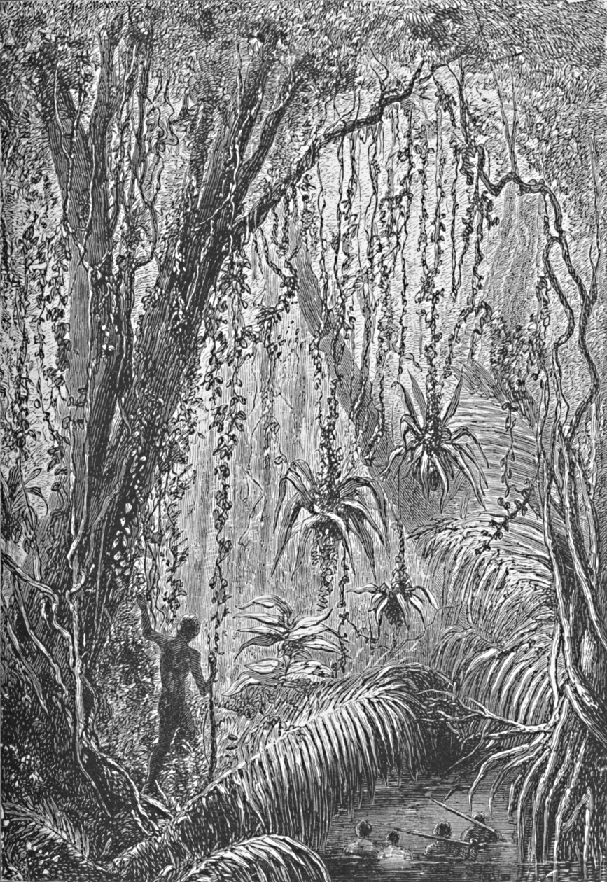 Brazilský les, c1885 1890 od Robert Taylor Pritchett