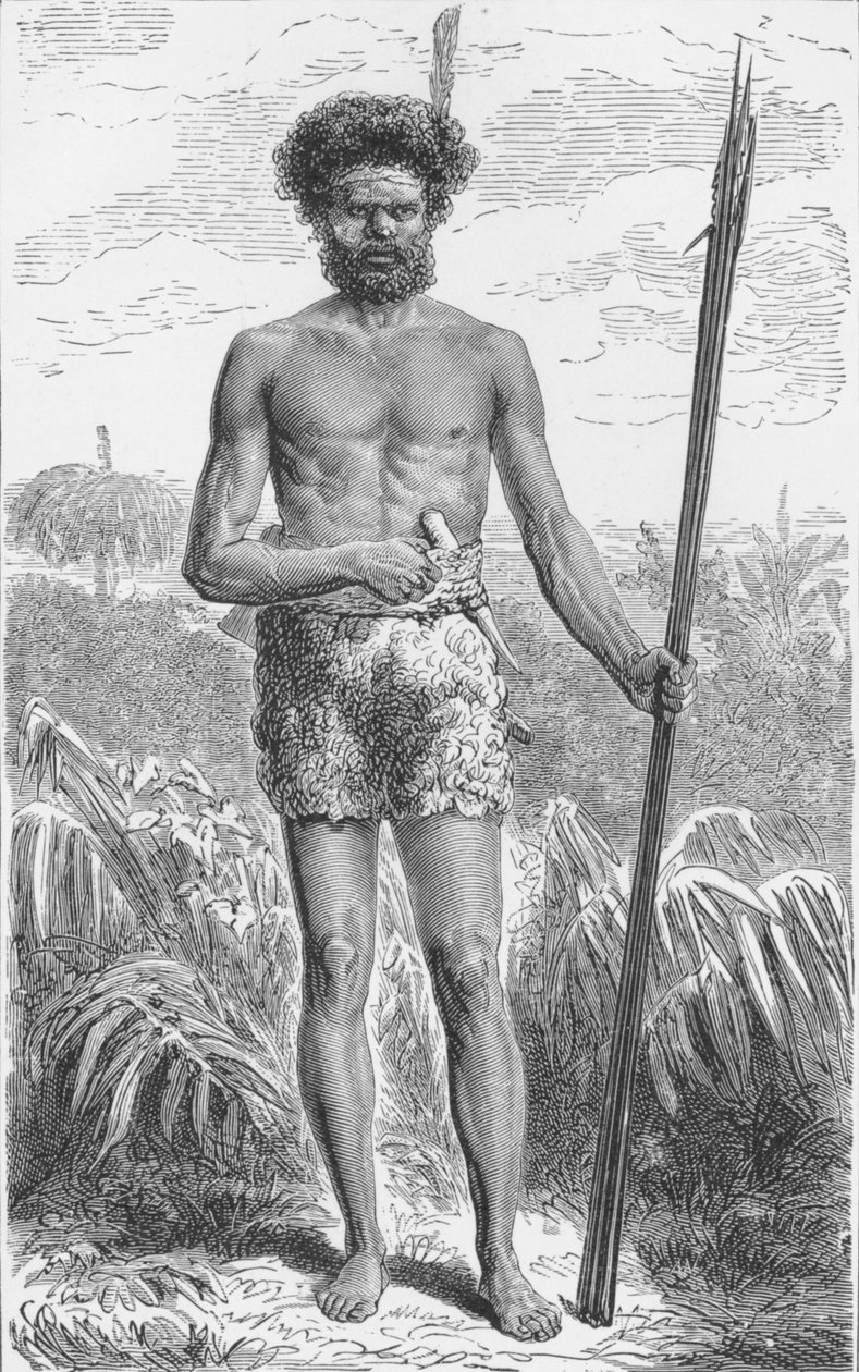 Pochází z Austrálie, c1885, 1890 od Robert Taylor Pritchett