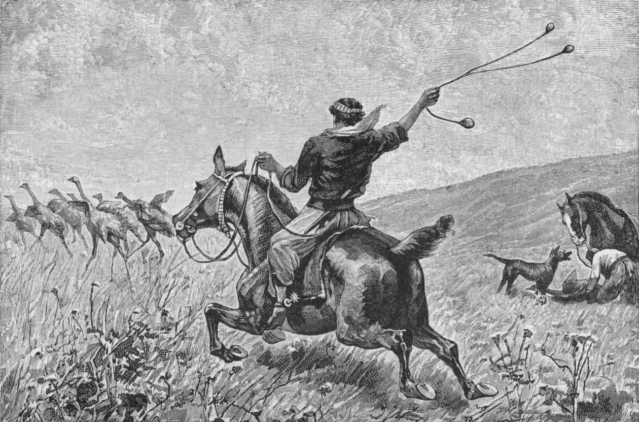 Throwing The Bolas, c1885, 1890 od Robert Taylor Pritchett