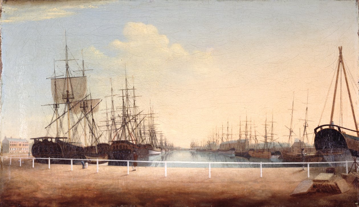 Západní pohled na nový dok v Kingstonu upon Hull (olej na plátně) od Robert Thew
