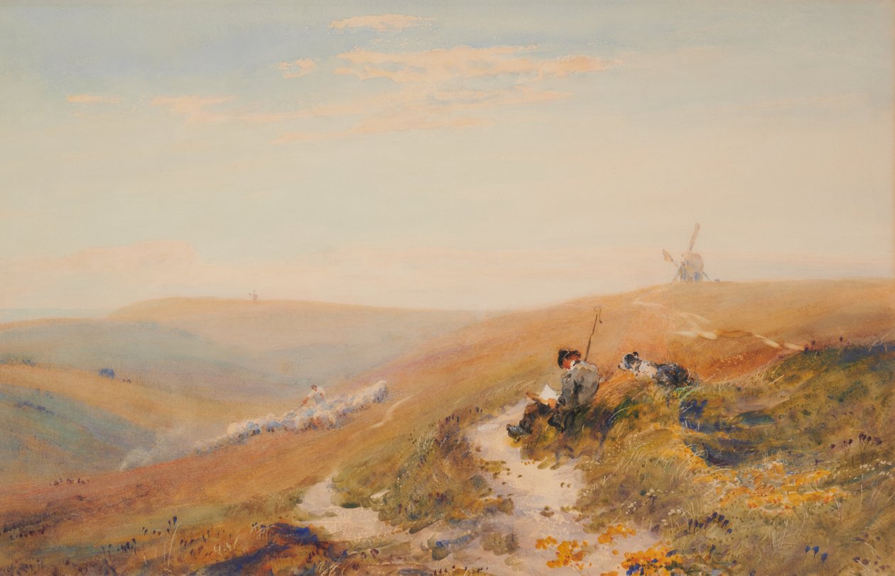 The Sussex Downs (podzim) od Robert Thorne Waite