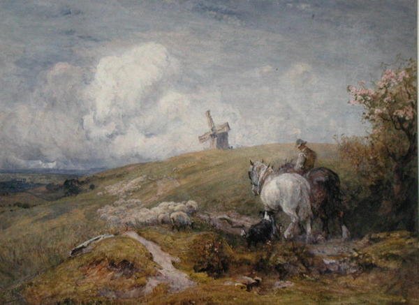 Hnací ovce na South Downs (akvarel na papíře) od Robert Thorne Waite