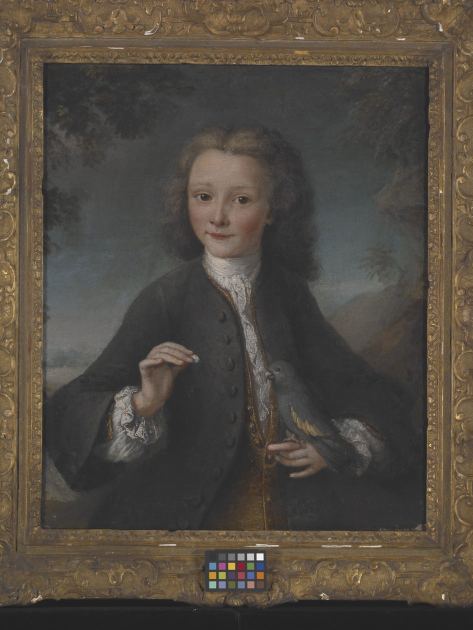 Voltaire ve věku 13 let (olej na plátně) od Robert Tournieres