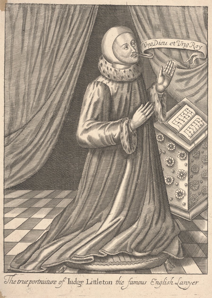 Soudce Littletonová od Robert Vaughan