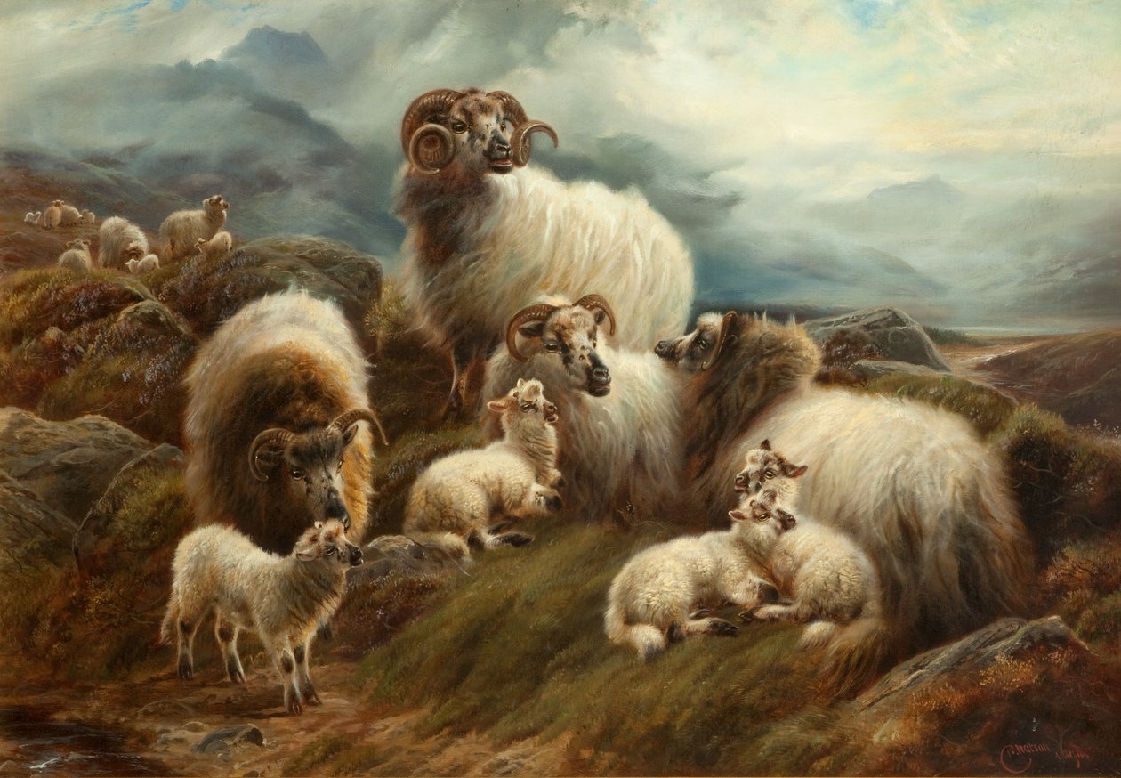 Ovce v krajině, 1894 od Robert Watson