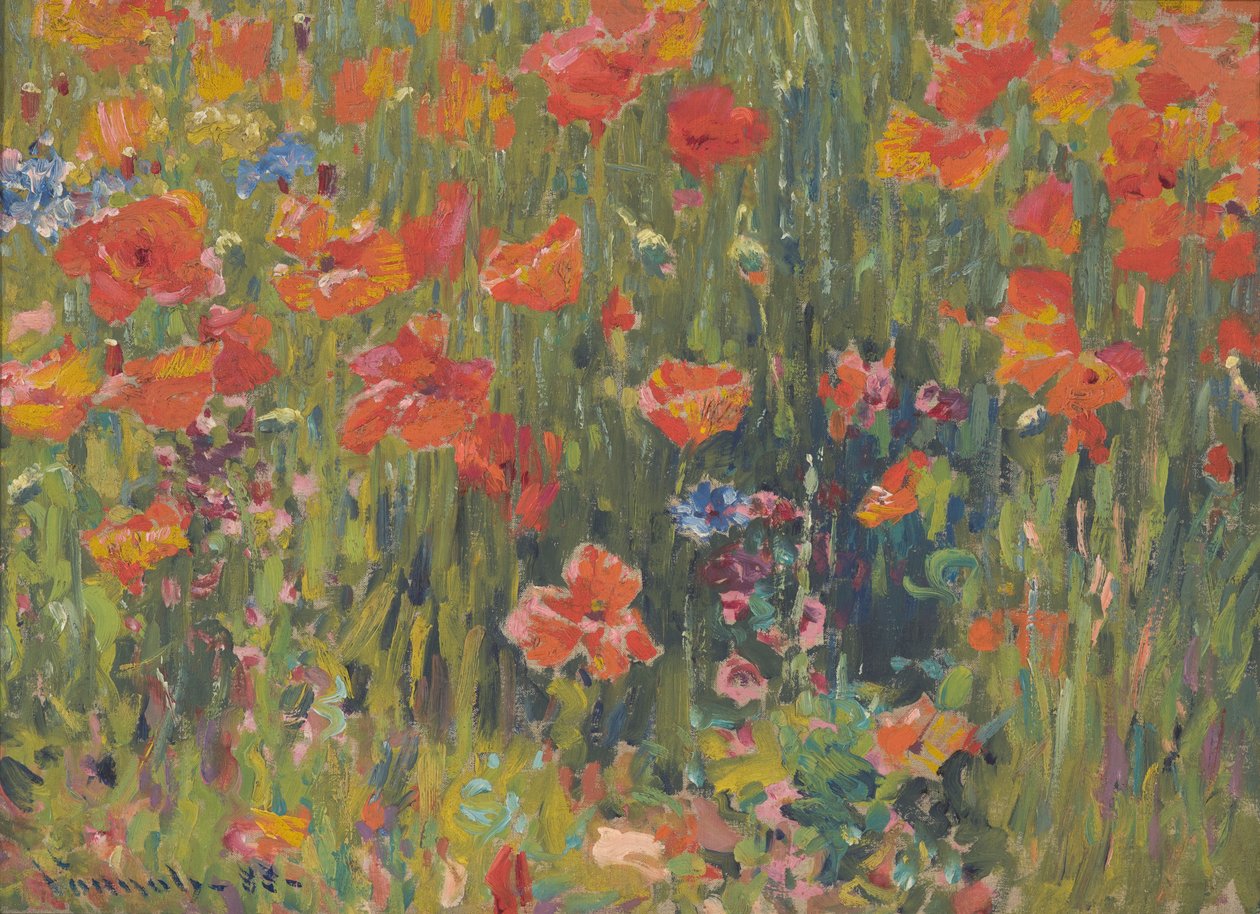 Vlčí mák od Robert William Vonnoh