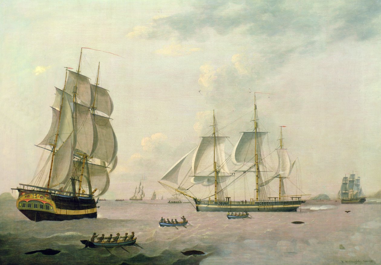 Velrybář "Ocran" od Robert Willoughby