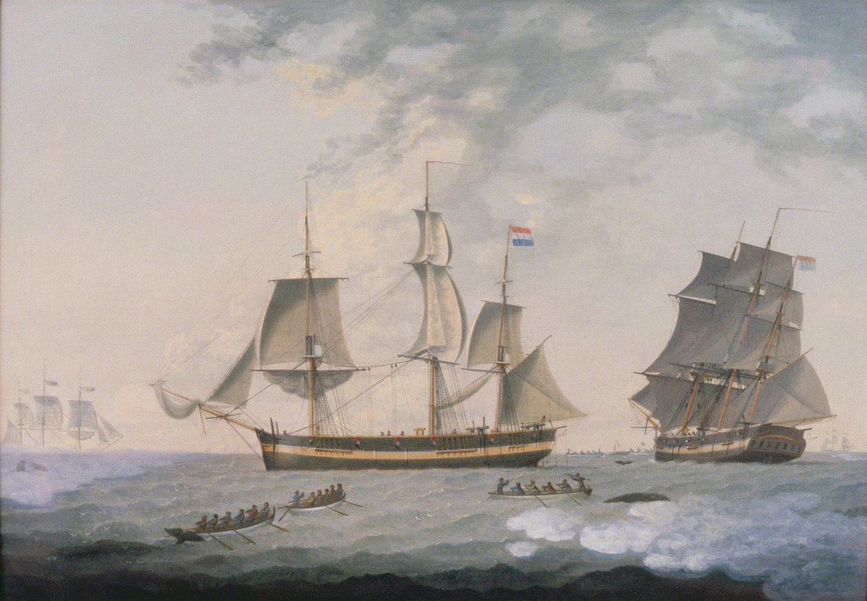 Lov velryb v Arktidě od Robert Willoughby