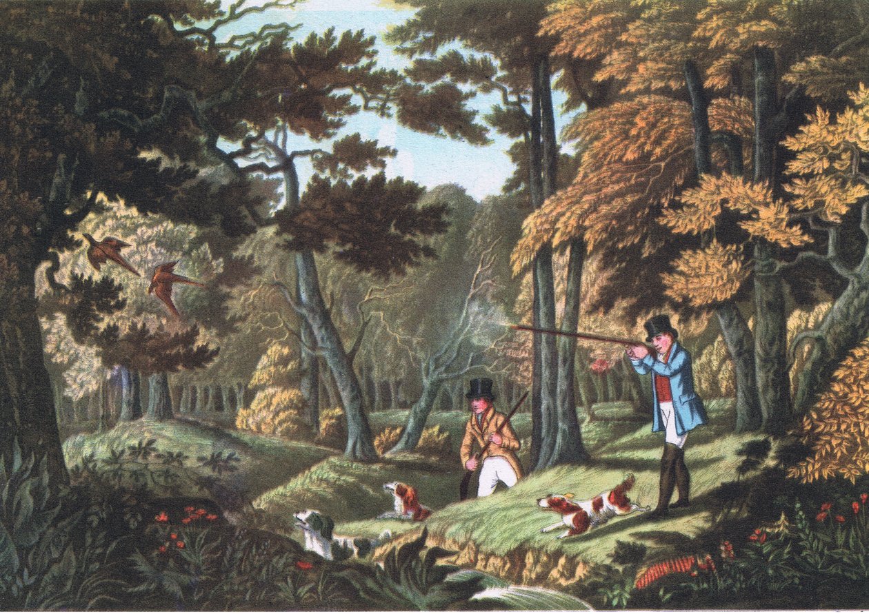 Střelba na bažanty poblíž Uxbridge, Nature v Británii, nakladatelství Collins, 1946 od Robert the Elder Havell