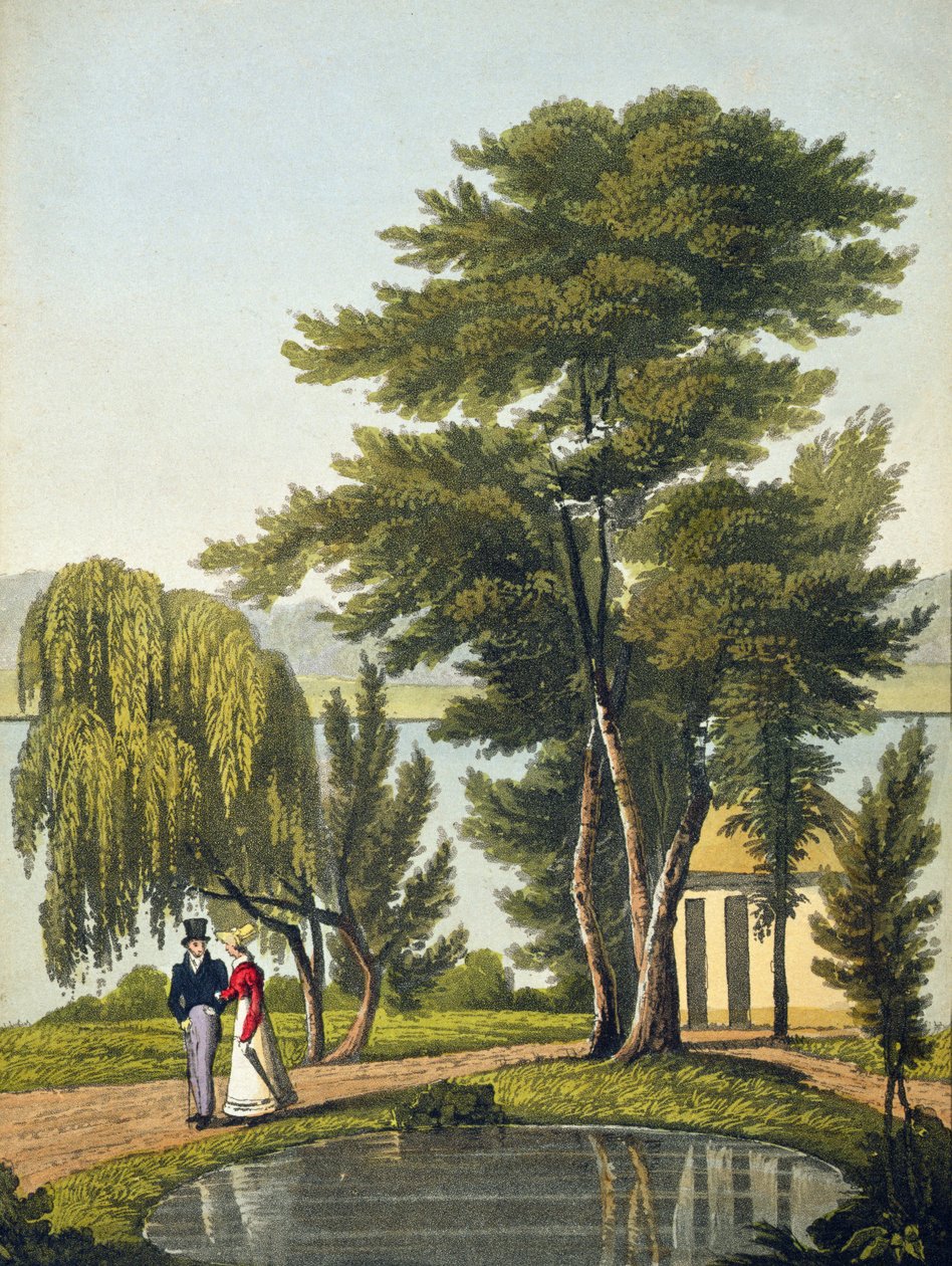 Clifton, z „The Naturama, nebo, Nature