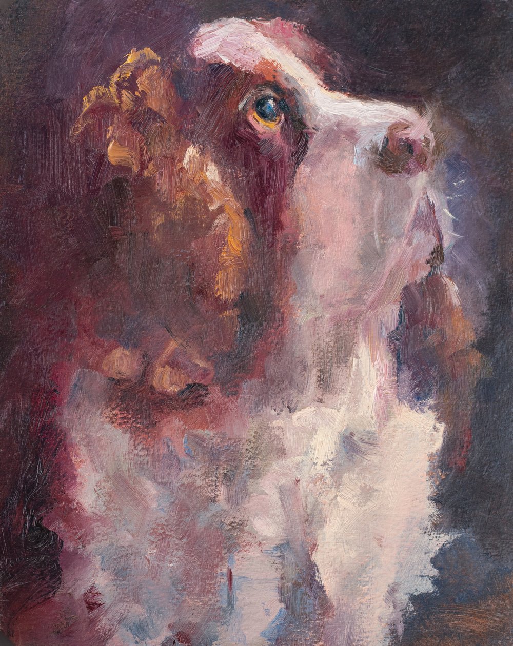 Romeo, 2015 (olej na desce) od Roberta Murray