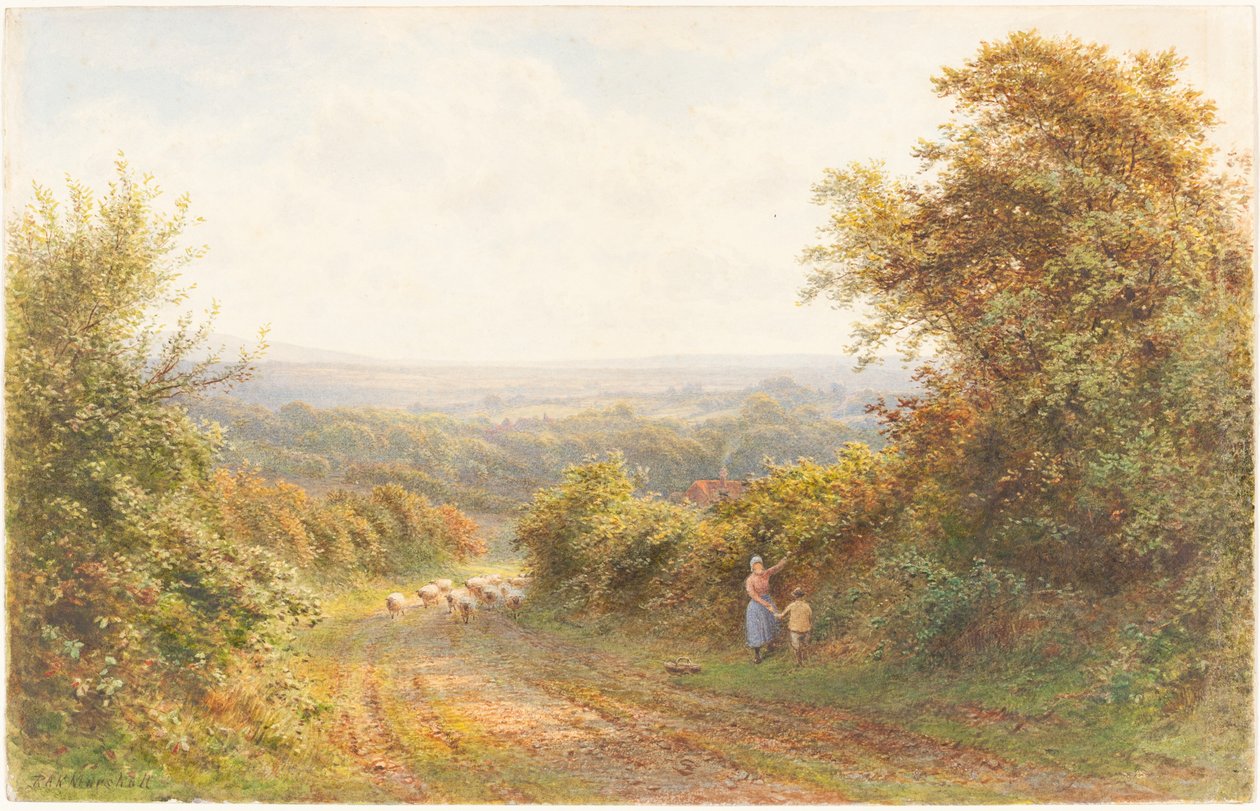 Squirrel Lane, poblíž Magham Down, Sussex od Roberto Angelo Kittermaster Marshall