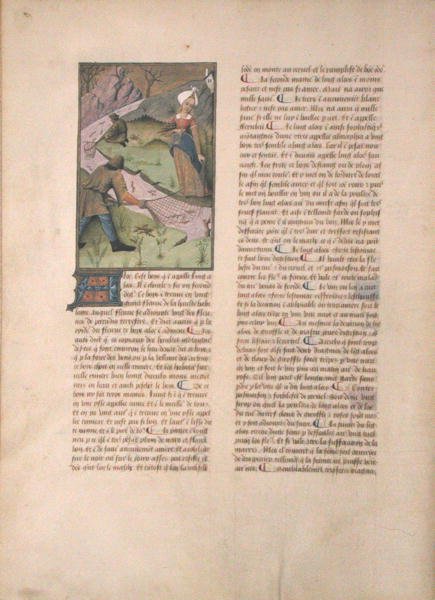 Paní Fr. Fv VI #1 fol. 5v Fishing, ilustrace z knihy The Book of Simple Medicines od Matthaeus Platerius (d.c.1161) c.1470 od Robinet Testard