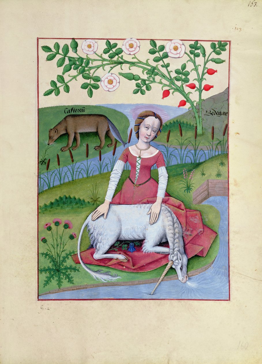 Paní Fr. Fv VI fol.163r Ilustrace z Knihy jednoduchých léků od Mattheaua Platearia od Robinet Testard