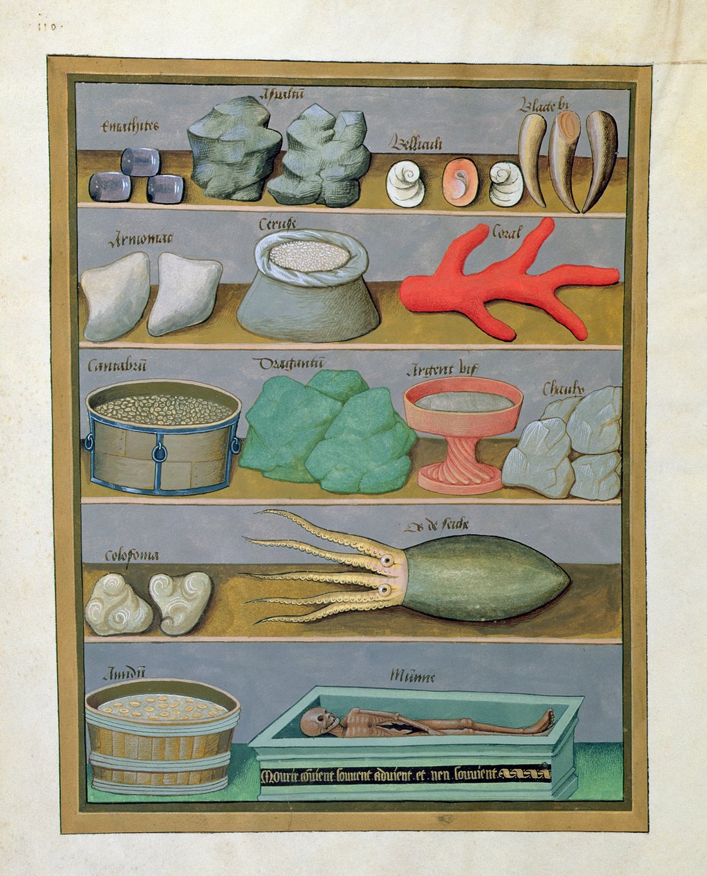 Ilustrace z Knihy jednoduchých léků od Mattheau Platearius 166v od Robinet Testard