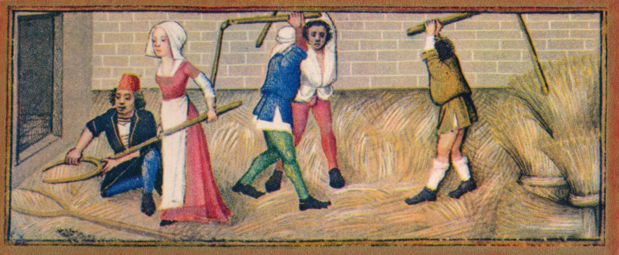 Červenec - mlácení, 15. století, 1939. od Robinet Testard