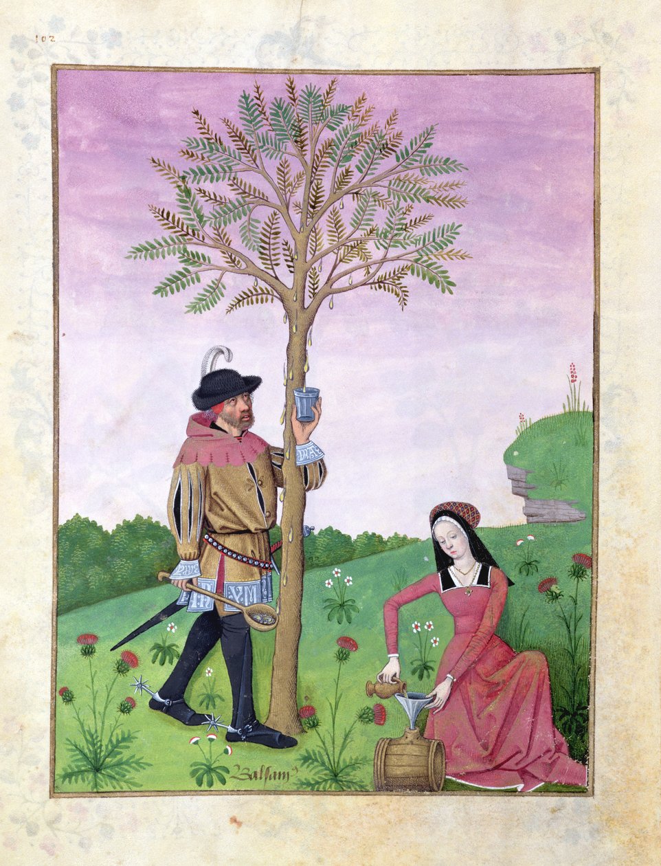 Paní Fr. Fv VI #1 fol.162v Kreslení mízy ze stromu, Ilustrace z „Knihy jednoduchých léků“ od Mattheaua Platearia (d.c.1161) c.1470 (vellum) od Robinet Testard