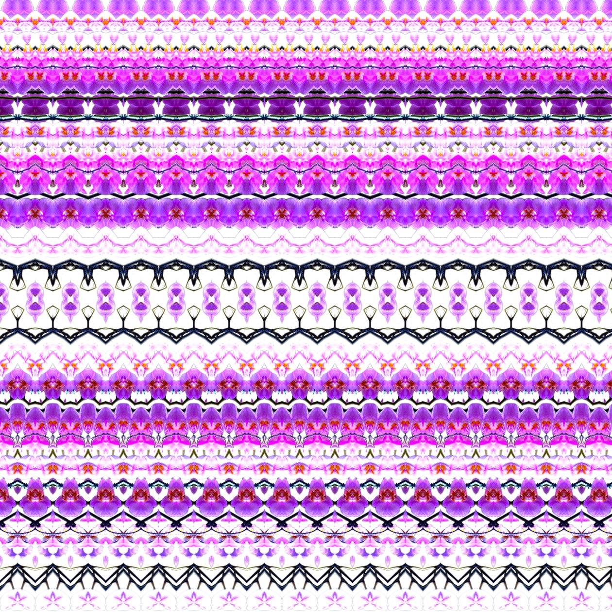 Orchidej Stripe od Robyn Parker