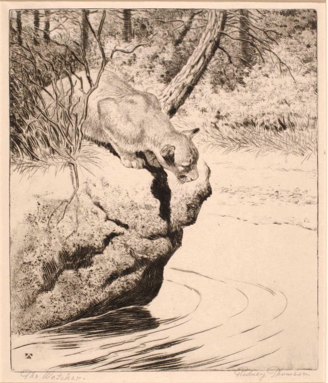 Strážce od Rodney Thomson