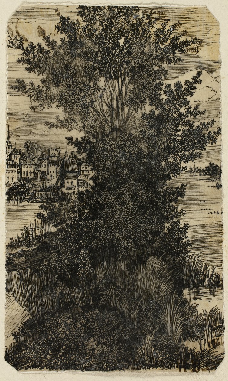 Shluk stromů s vesnicí v dálce od Rodolphe Bresdin