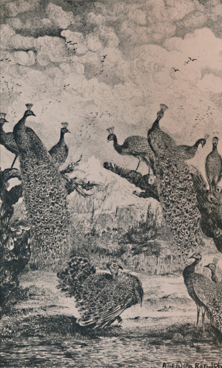 The Peacocks, 1869, 1946 od Rodolphe Bresdin