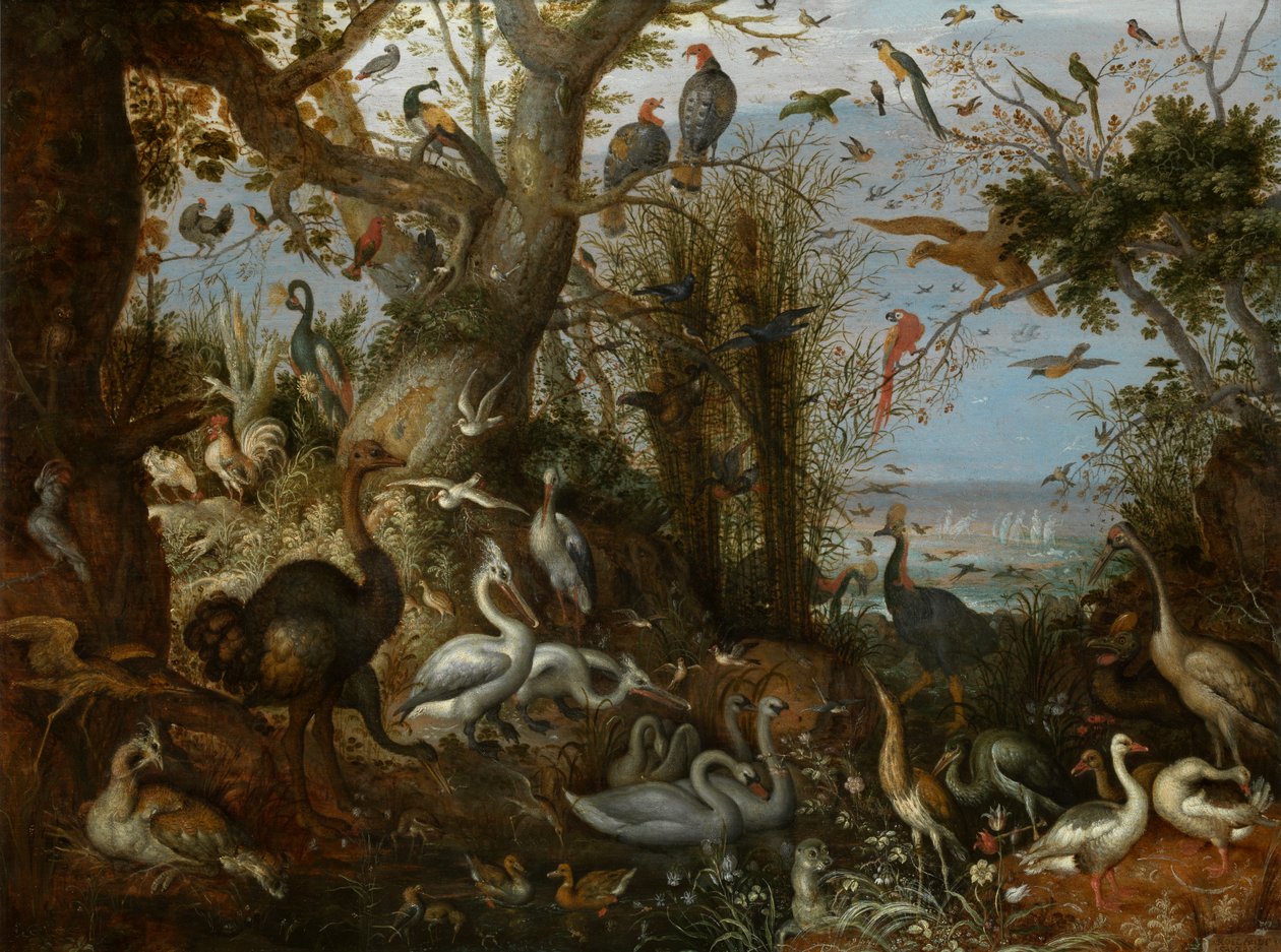 Drůbež od Roelandt Jacobsz. Savery