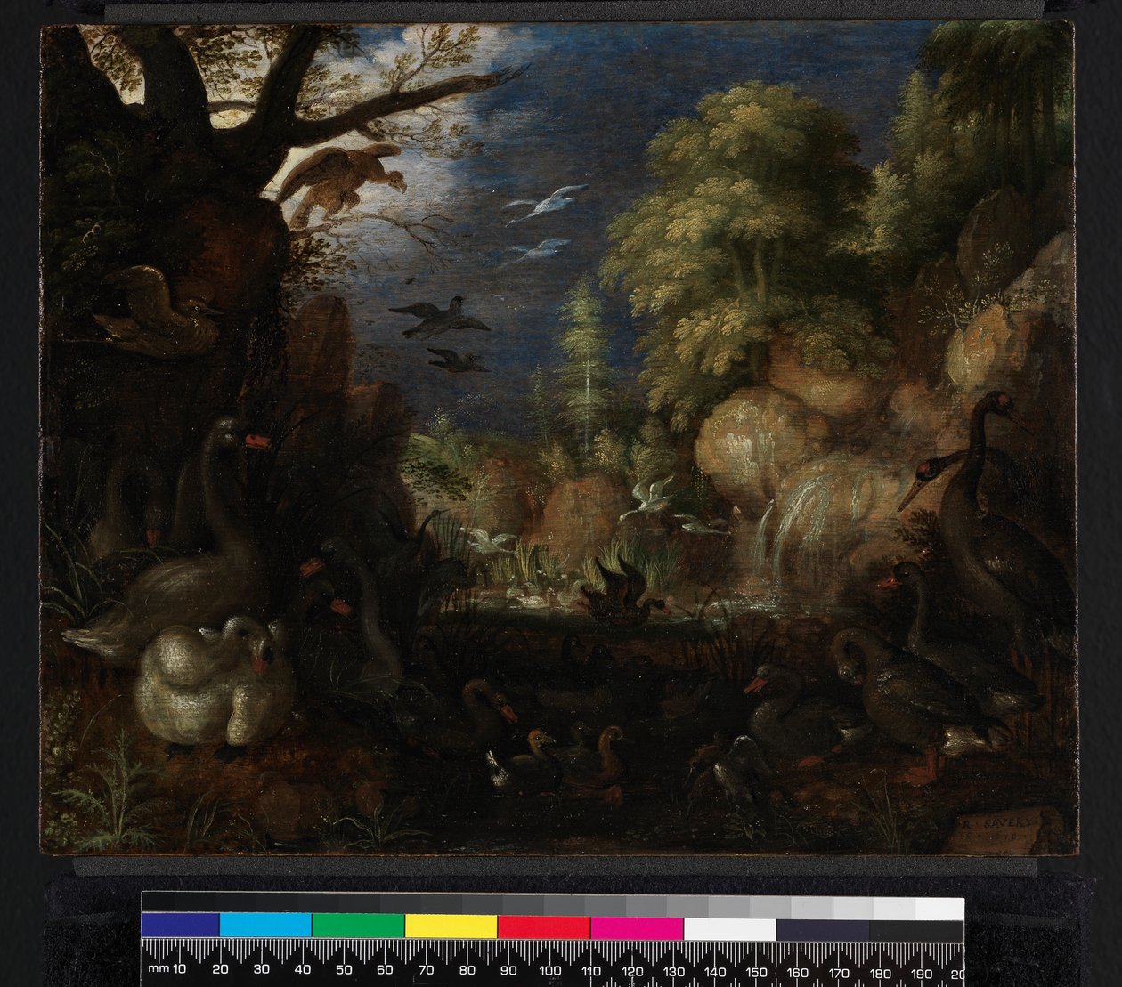 Stvoření ptáků, 1619 od Roelandt Jacobsz. Savery