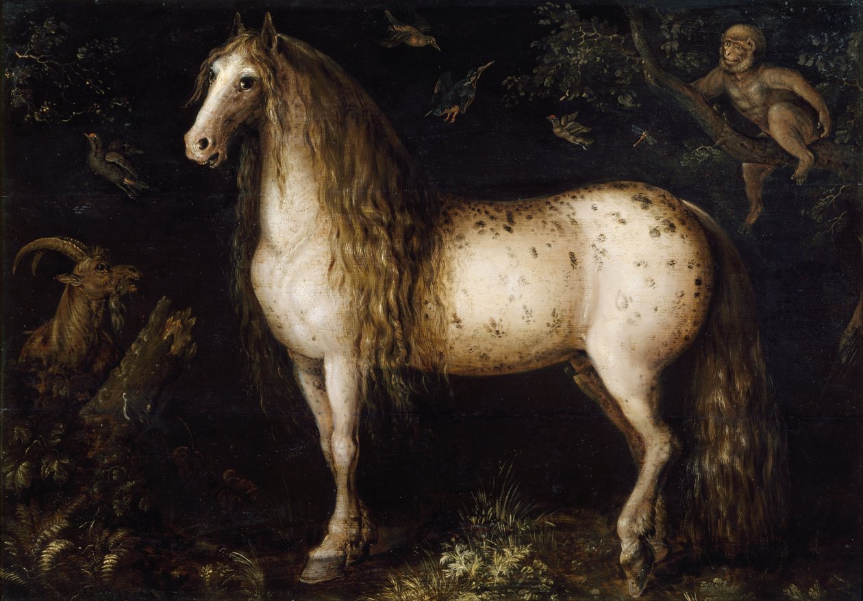 Dapple-grey od Roelant Saverij