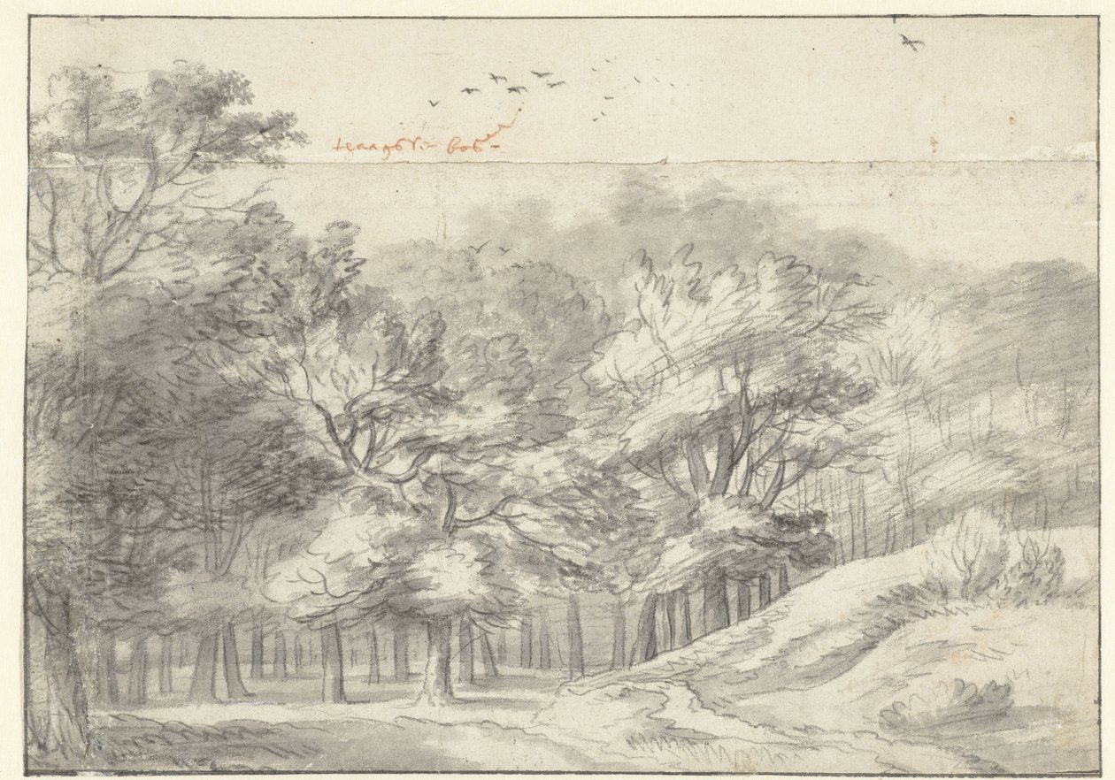 Pohled na Haagse Bos od Roelant Roghman