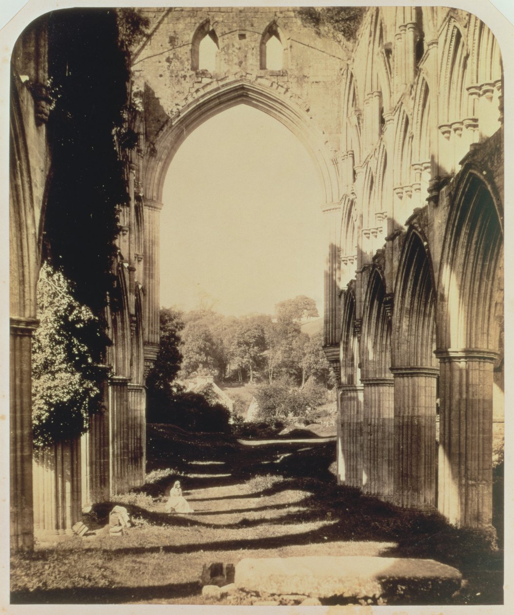 Rievaulx Abbey, North Yorkshire, 1854 (sépiová fotografie) od Roger Fenton