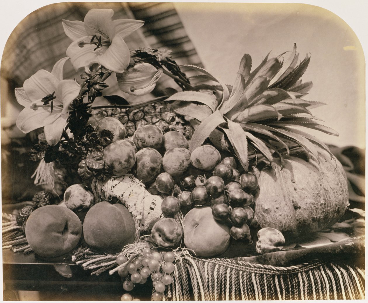 Zátiší s ovocem, 1860 (sépiová fotografie) od Roger Fenton